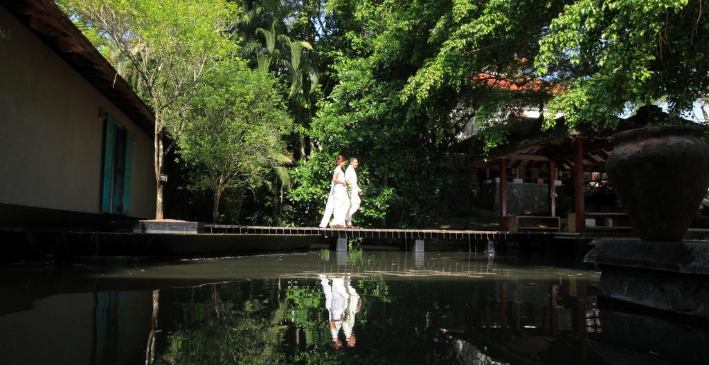 Jetwing Saman Villas, A Luxury Reserve - Adults Only Bentota Kültér fotó